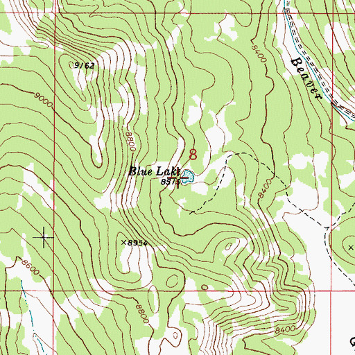 Topographic Map of Blue Lake, ID