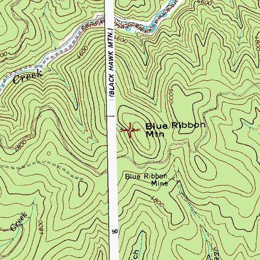 Topographic Map of Blue Ribbon Mountain, ID
