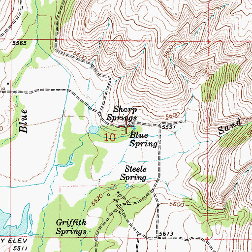 Topographic Map of Blue Spring, ID