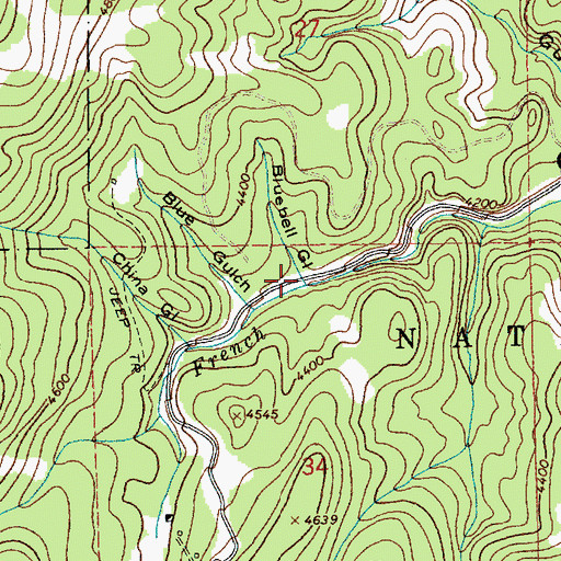 Topographic Map of Bluebell Gulch, ID