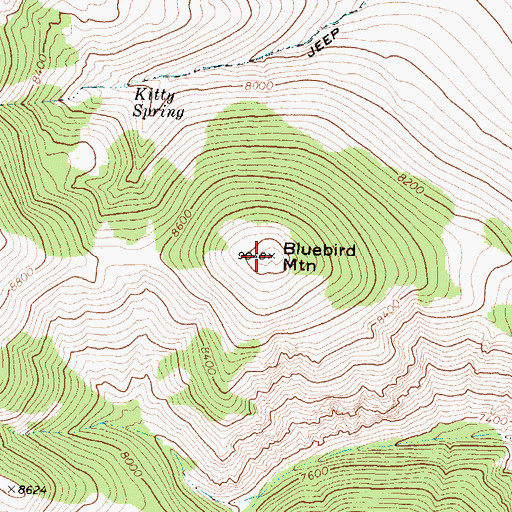 Topographic Map of Bluebird Mountain, ID