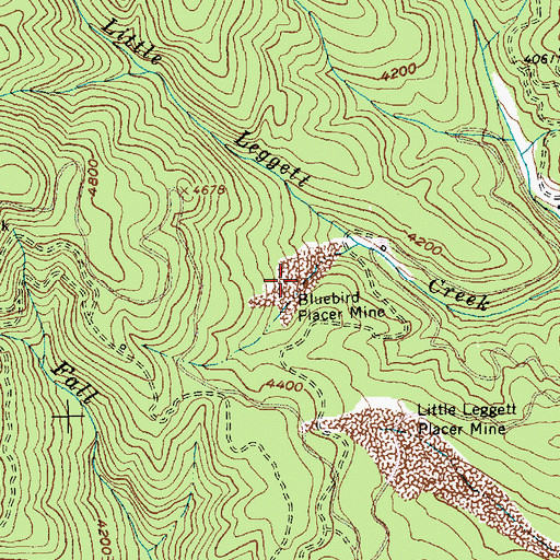 Topographic Map of Bluebird Placer Mine, ID
