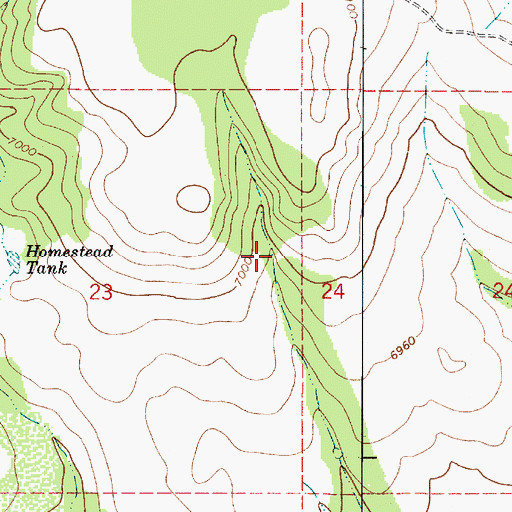 Topographic Map of Forest Tank, AZ