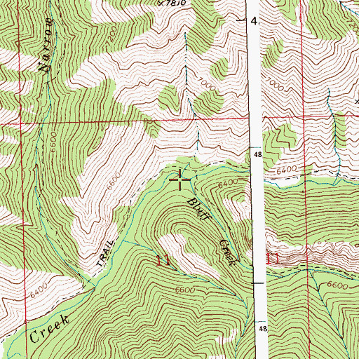 Topographic Map of Bluff Creek, ID