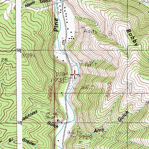 Topographic Map of Bobby Anderson Mine, ID