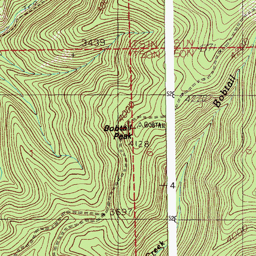 Topographic Map of Bobtail Peak, ID