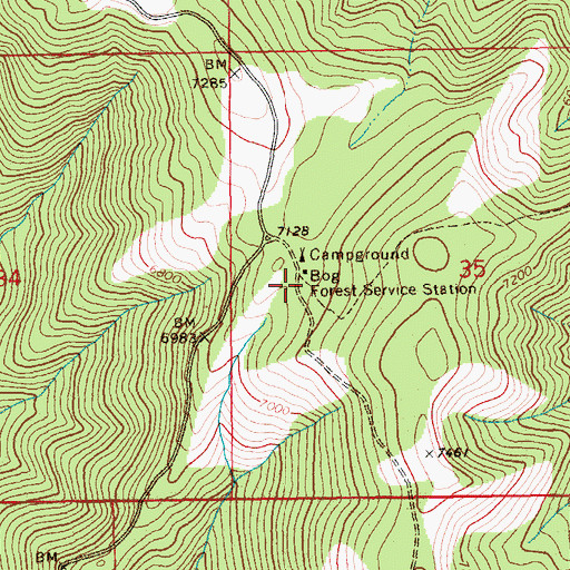 Topographic Map of Bog Forest Service Station, ID