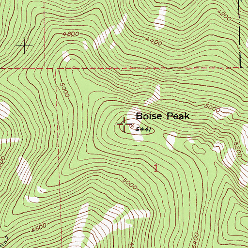 Topographic Map of Boise Peak, ID