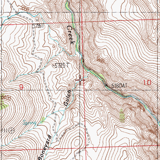 Topographic Map of Boneyard Gulch, ID