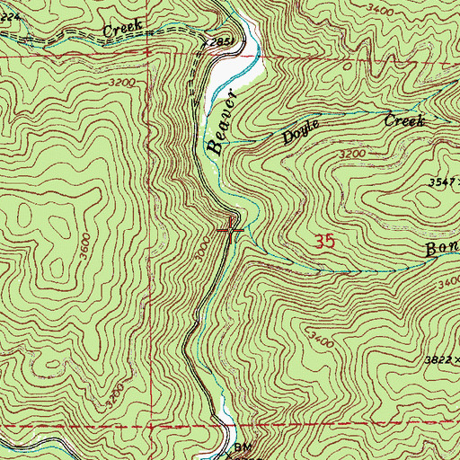 Topographic Map of Bonner Creek, ID