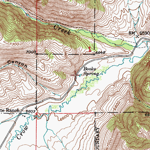 Topographic Map of Books Spring, ID