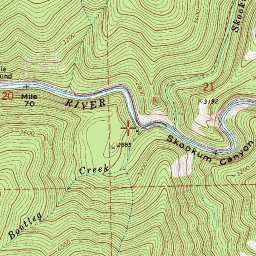 Topographic Map of Bootleg Creek, ID