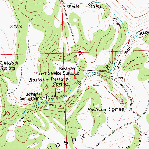 Topographic Map of Bostetter Forest Service Station, ID