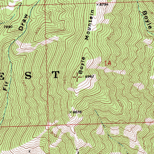 Topographic Map of Boyle Mountain, ID