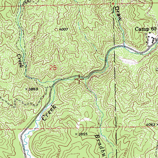Topographic Map of Bradbury Creek, ID