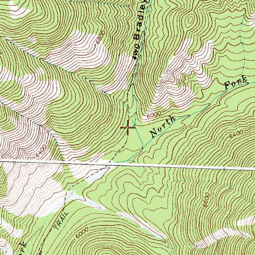 Topographic Map of Bradley Gulch, ID