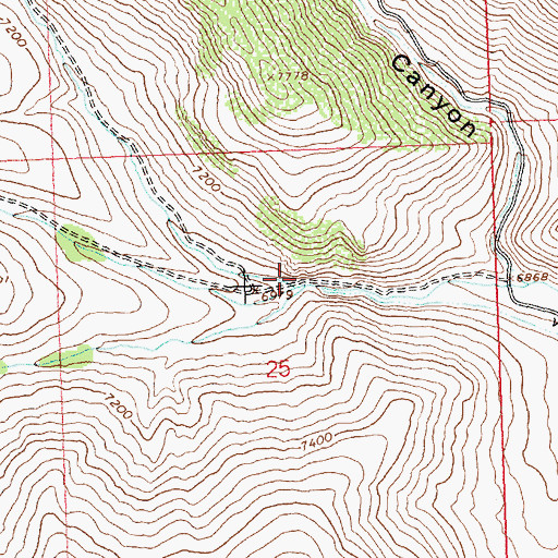 Topographic Map of Bradshaw Creek, ID