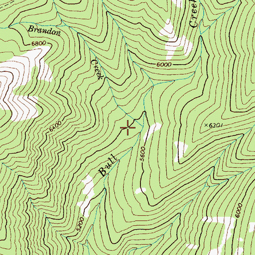 Topographic Map of Brandon Creek, ID
