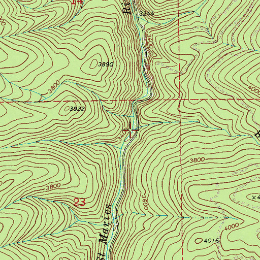 Topographic Map of Braun Creek, ID