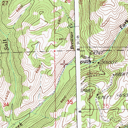 Topographic Map of Bremner Creek, ID