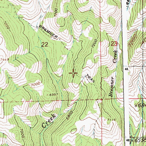 Topographic Map of Bremner Trail, ID