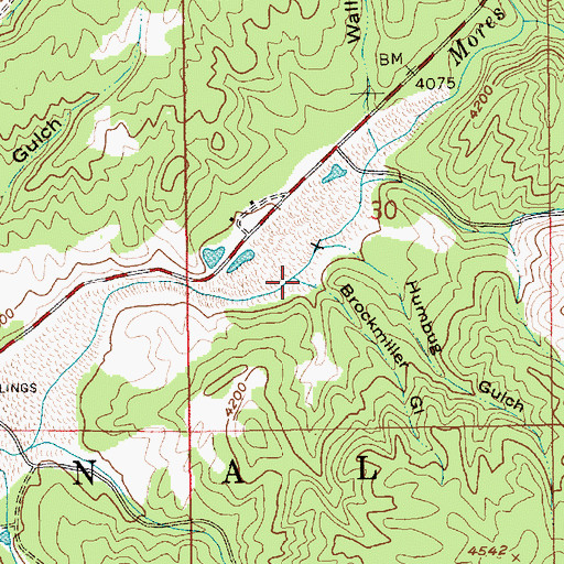 Topographic Map of Brockmiller Gulch, ID