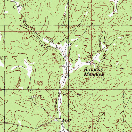 Topographic Map of Bronson Meadow, ID