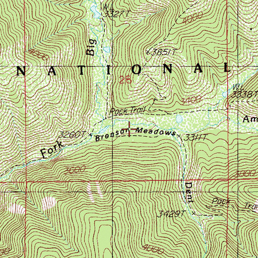 Topographic Map of Bronson Meadows, ID