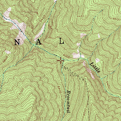 Topographic Map of Broomtail Creek, ID
