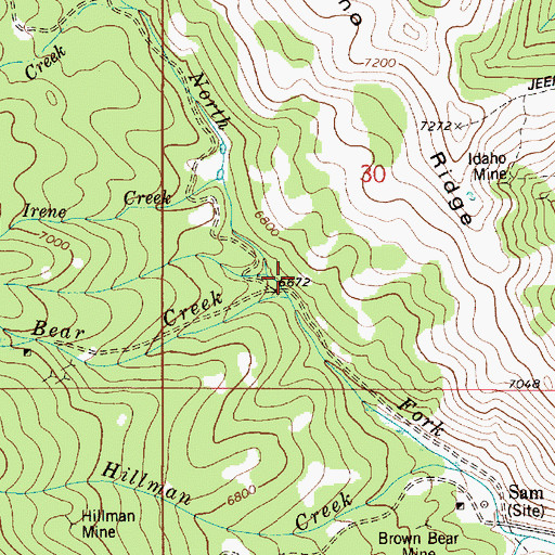 Topographic Map of Brown Bear Creek, ID