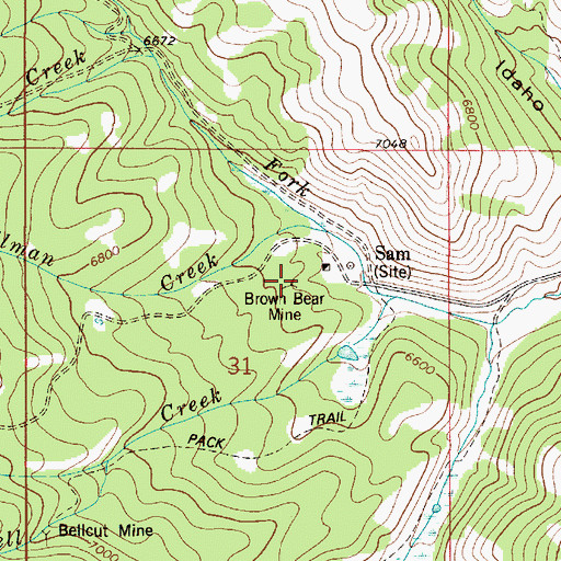 Topographic Map of Brown Bear Mine, ID