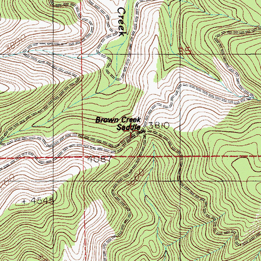 Topographic Map of Brown Creek Saddle, ID