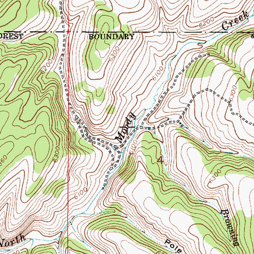 Topographic Map of Browning Creek, ID