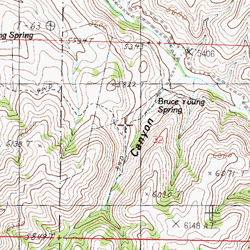 Topographic Map of Bruce Young Spring, ID