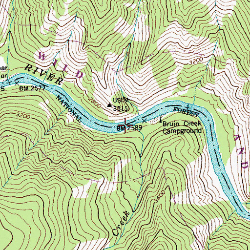 Topographic Map of Bruin Creek, ID