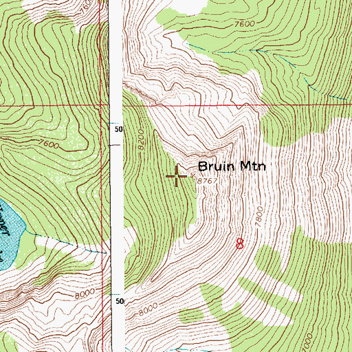 Topographic Map of Bruin Mountain, ID