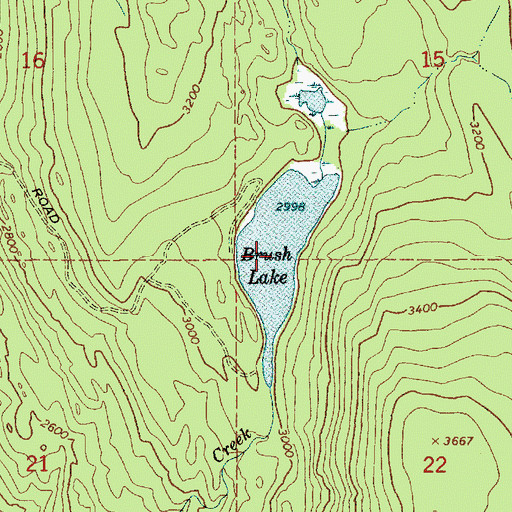Topographic Map of Brush Lake, ID