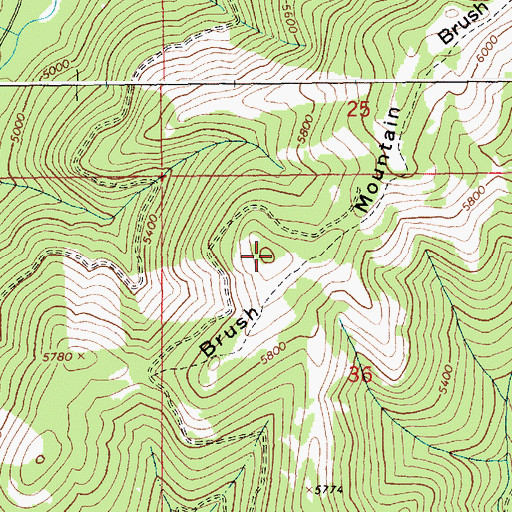 Topographic Map of Brush Mountain, ID