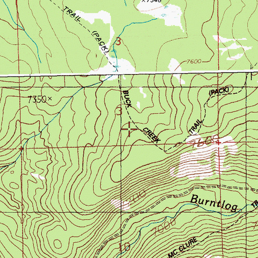 Topographic Map of Buck Creek Trail, ID