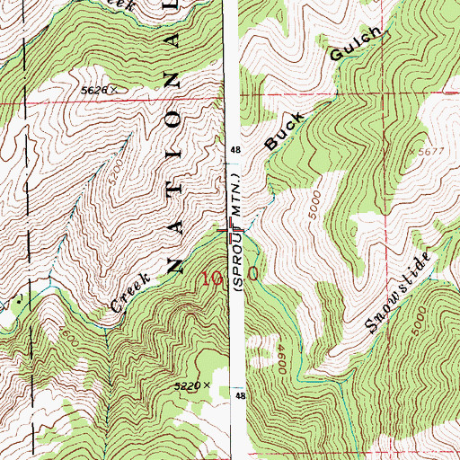 Topographic Map of Buck Gulch, ID