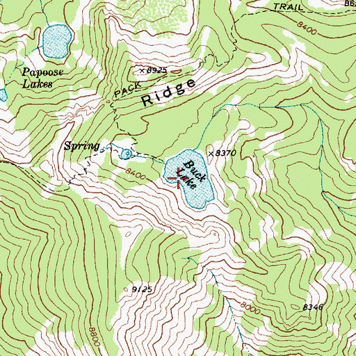 Topographic Map of Buck Lake, ID