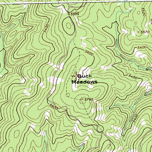 Topographic Map of Buck Meadows, ID