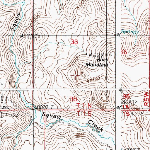 Topographic Map of Buck Mountain, ID