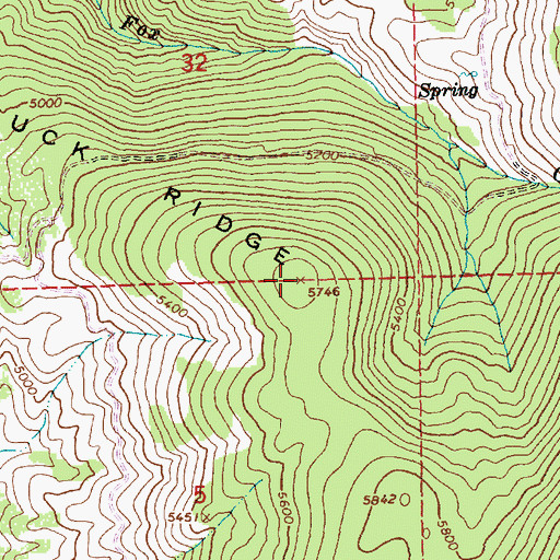 Topographic Map of Buck Ridge, ID