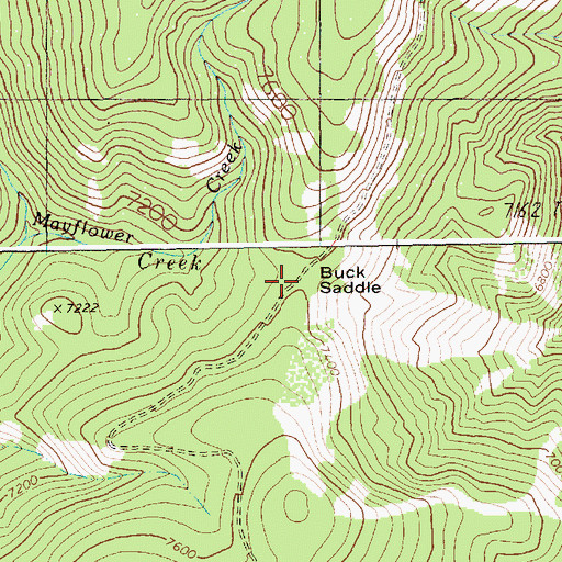 Topographic Map of Buck Saddle, ID