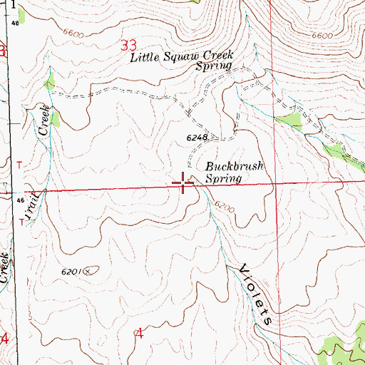 Topographic Map of Buckbrush Spring, ID
