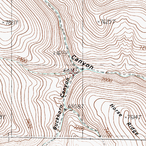 Topographic Map of Buckhorn Canyon, ID