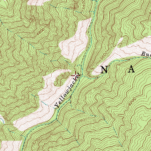 Topographic Map of Buckhorn Creek, ID