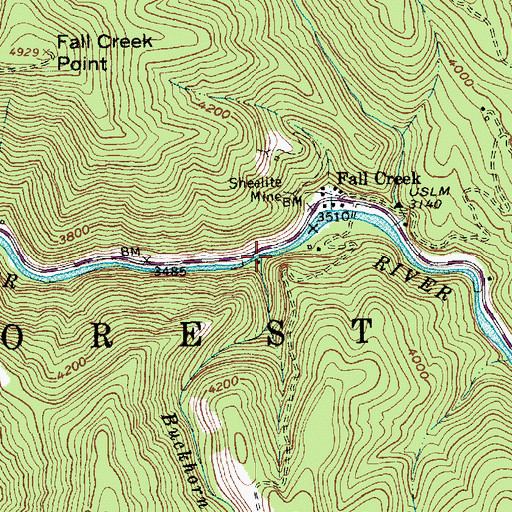 Topographic Map of Buckhorn Creek, ID