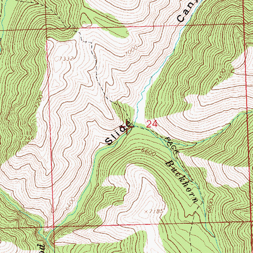 Topographic Map of Buckhorn Creek, ID
